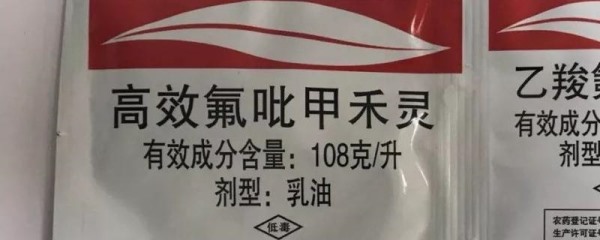 高效氟吡甲禾灵和精喹禾灵的区别在哪，详细介绍