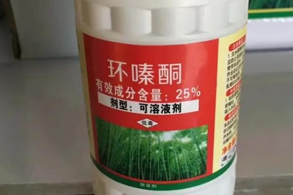 环嗪酮使用后多久才可以种植