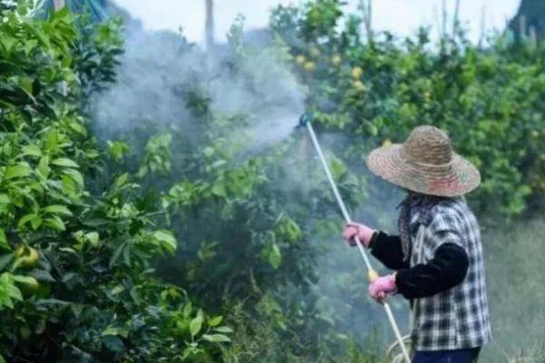 氟乐灵怎么使用，兑水后喷施土壤即可