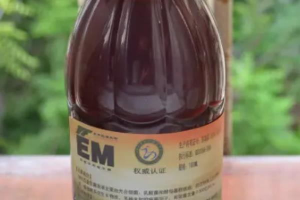 em菌加红糖发酵多久必须用完