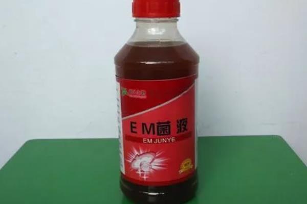 em菌加红糖发酵多久必须用完