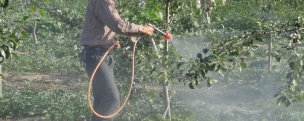 果尔除草剂使用方法，针对不同作物的使用方法不同