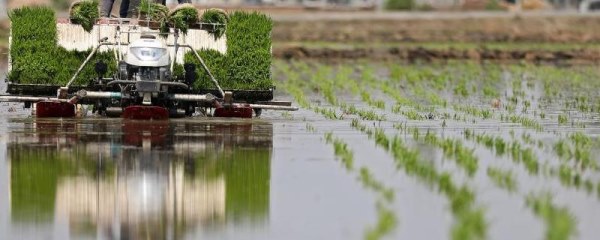 水稻插秧机常遇事故及解决方式，找准原因精准解决