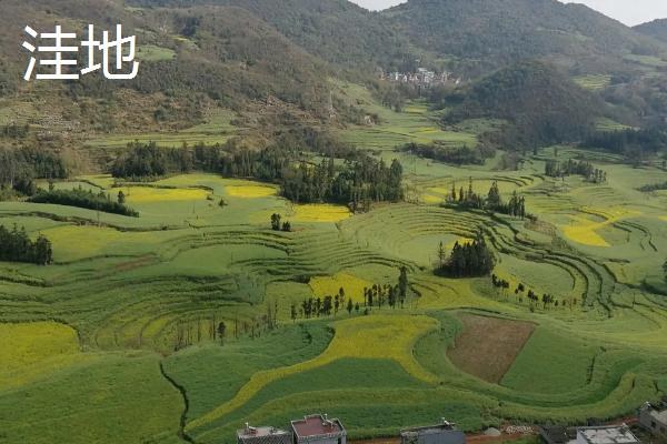 容易受涝的洼地种什么